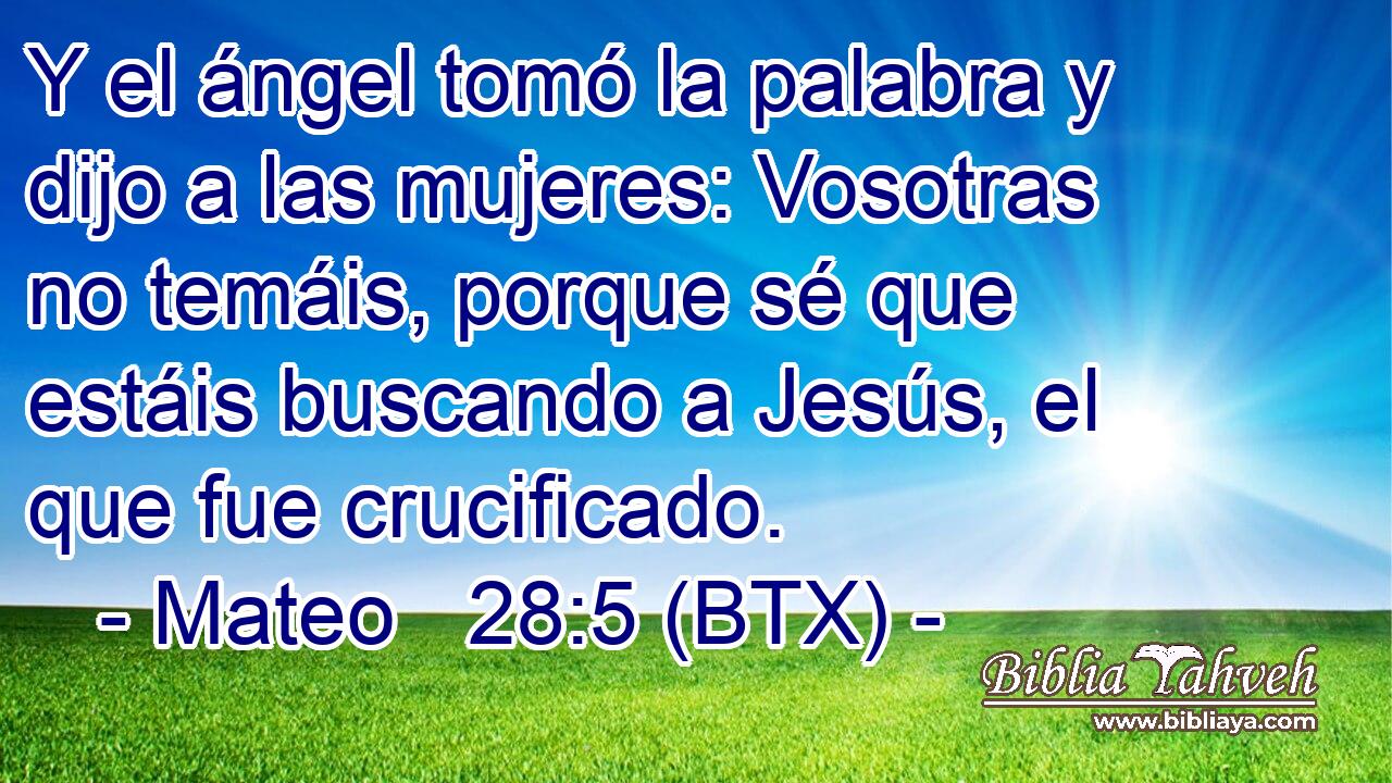 Y el ángel tomó la palabra y dijo a las mujeres: Vosotras no temáis, porque sé que estáis buscando a Jesús, el que fue crucificado.