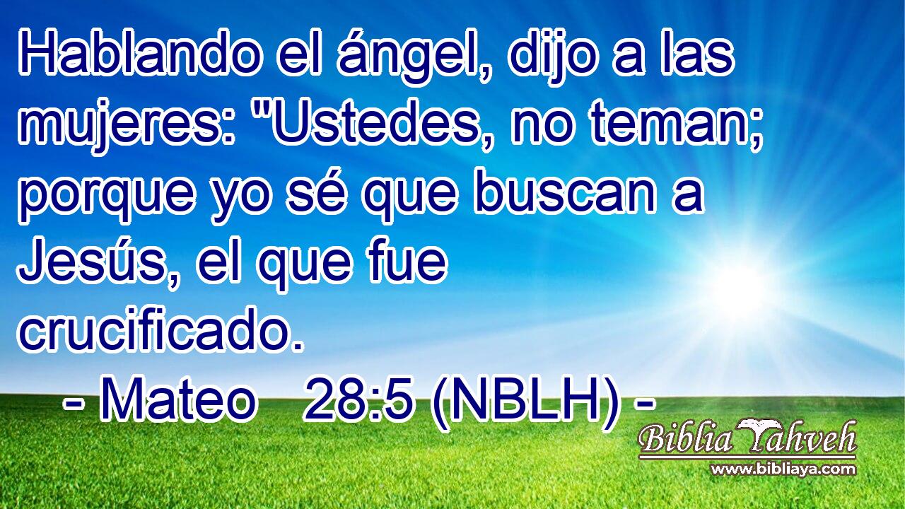  Hablando el ángel, dijo a las mujeres: 