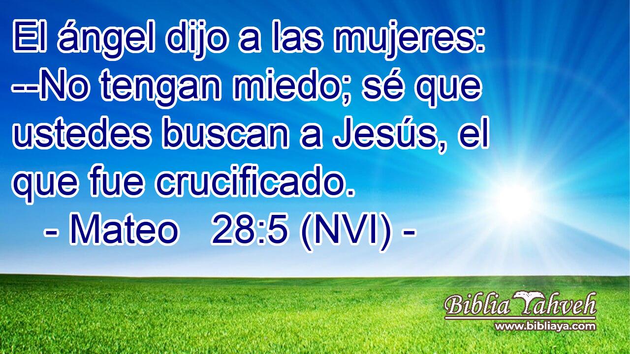  El ángel dijo a las mujeres: --No tengan miedo; sé que ustedes buscan a Jesús, el que fue crucificado. 