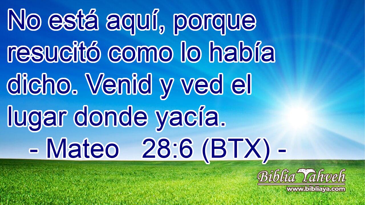 No está aquí, porque resucitó como lo había dicho. Venid y ved el lugar donde yacía.
