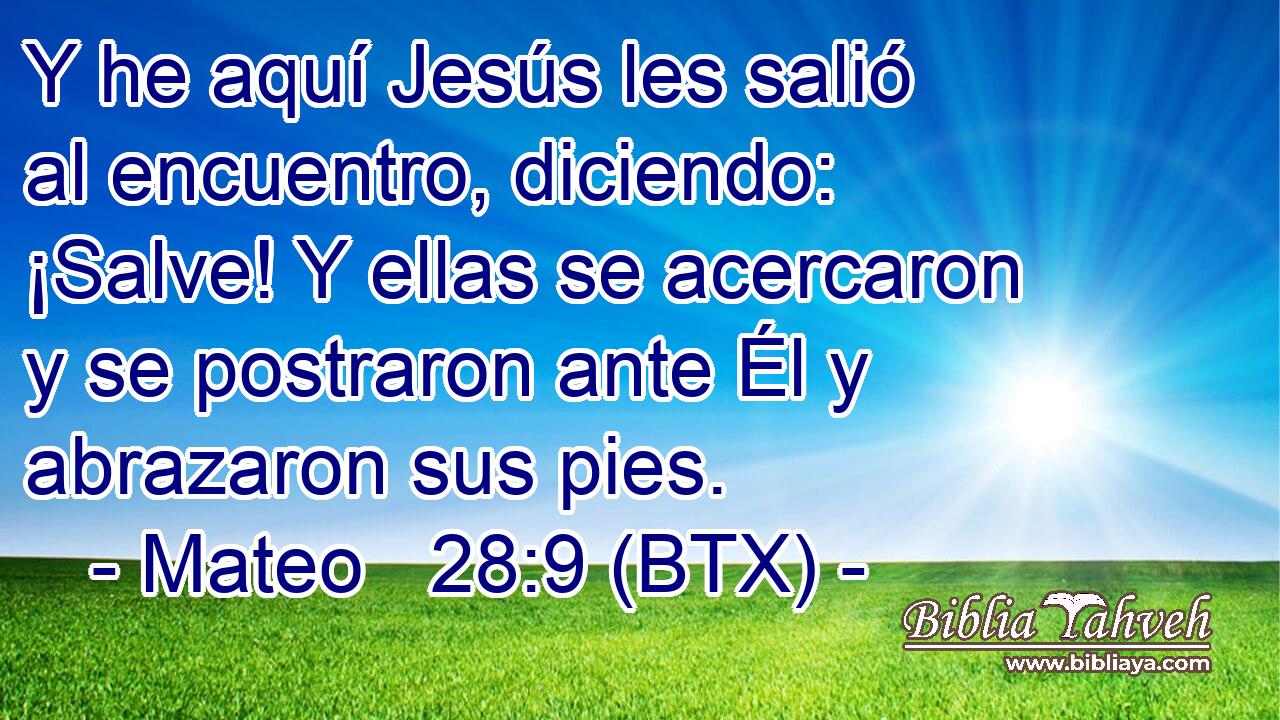 Y he aquí Jesús les salió al encuentro, diciendo: ¡Salve! Y ellas se acercaron y se postraron ante Él y abrazaron sus pies.