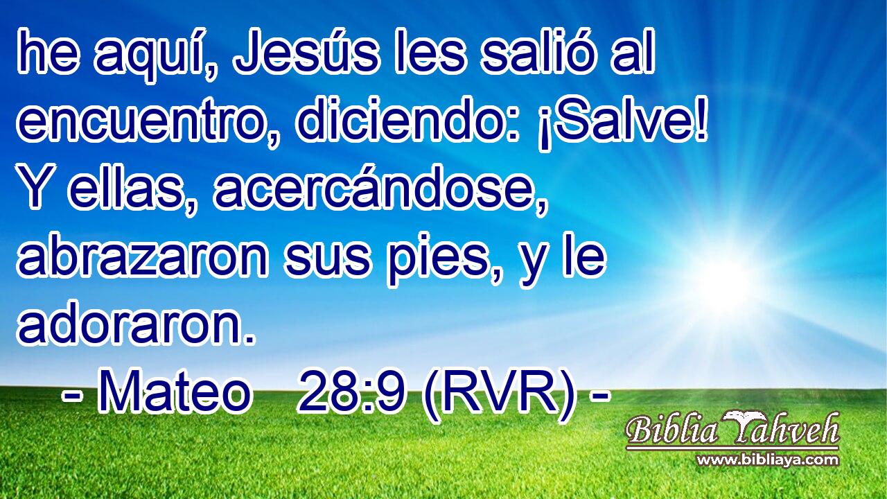 he aquí, Jesús les salió al encuentro, diciendo: ¡Salve! Y ellas, acercándose, abrazaron sus pies, y le adoraron.