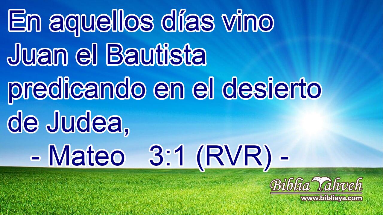 En aquellos días vino Juan el Bautista predicando en el desierto de Judea,