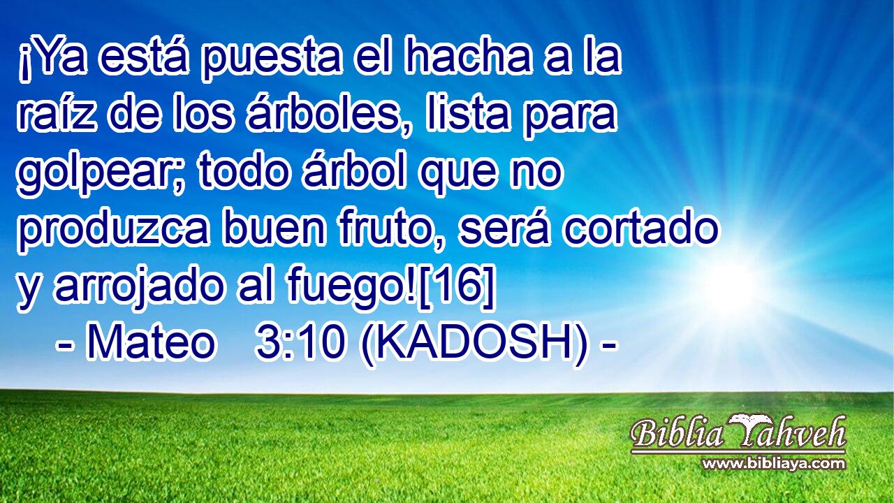  ¡Ya está puesta el hacha a la raíz de los árboles, lista para golpear; todo árbol que no produzca buen fruto, será cortado y arrojado al fuego![16] 