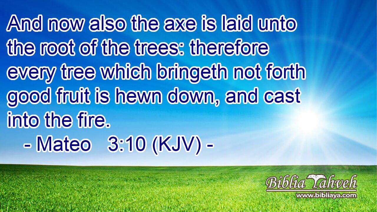 And now also the axe is laid unto the root of the trees: therefore every tree which bringeth not forth good fruit is hewn down, and cast into the fire.