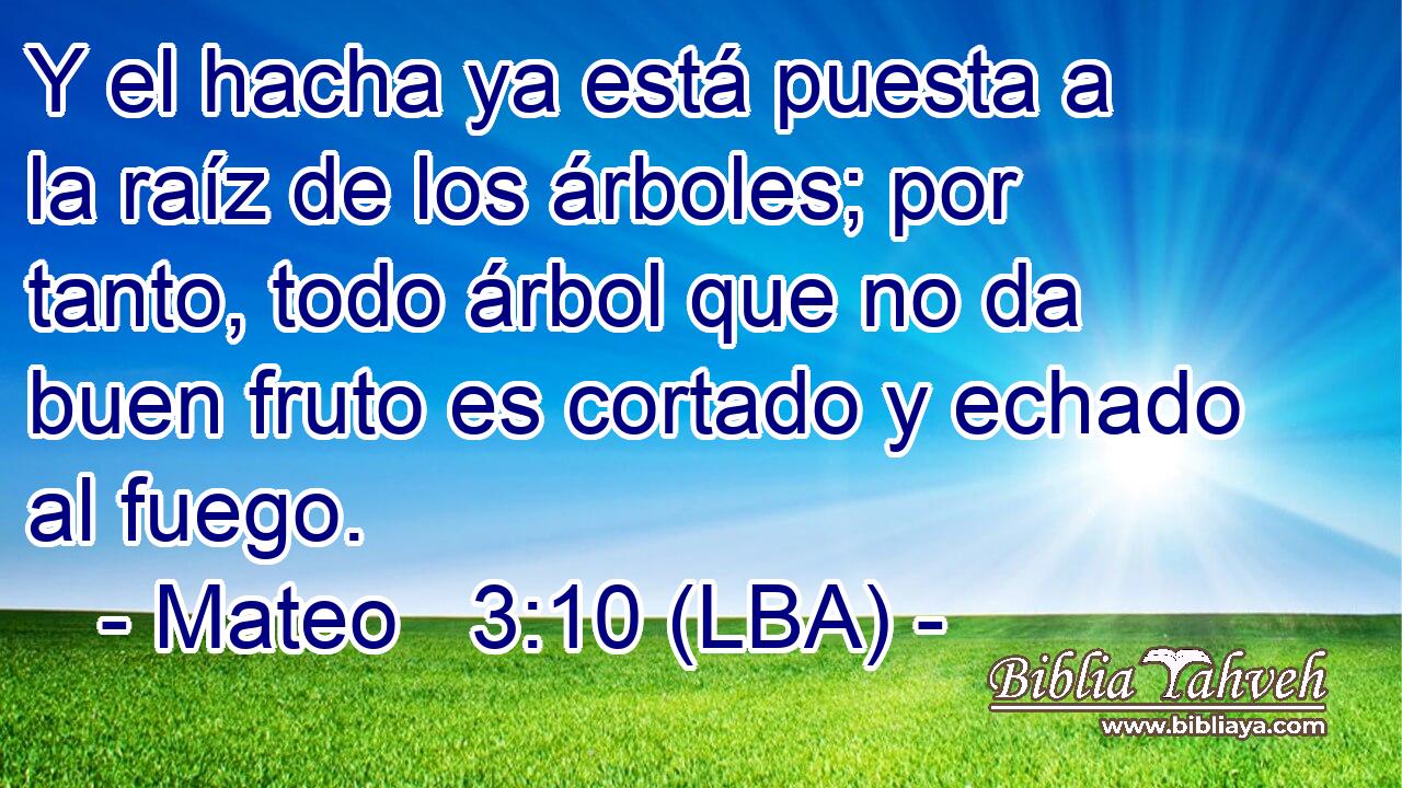 Y el hacha ya está puesta a la raíz de los árboles; por tanto, todo árbol que no da buen fruto es cortado y echado al fuego.