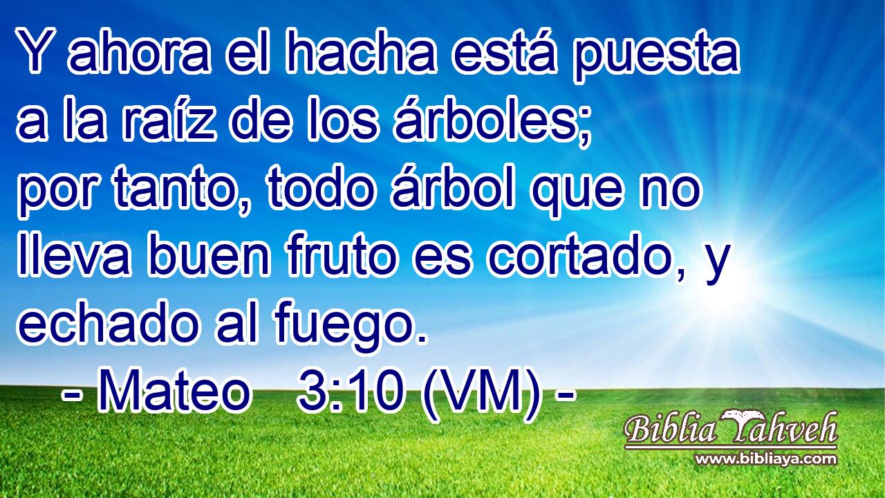  Y ahora el hacha está puesta a la raíz de los árboles; por tanto, todo árbol que no lleva buen fruto es cortado, y echado al fuego. 