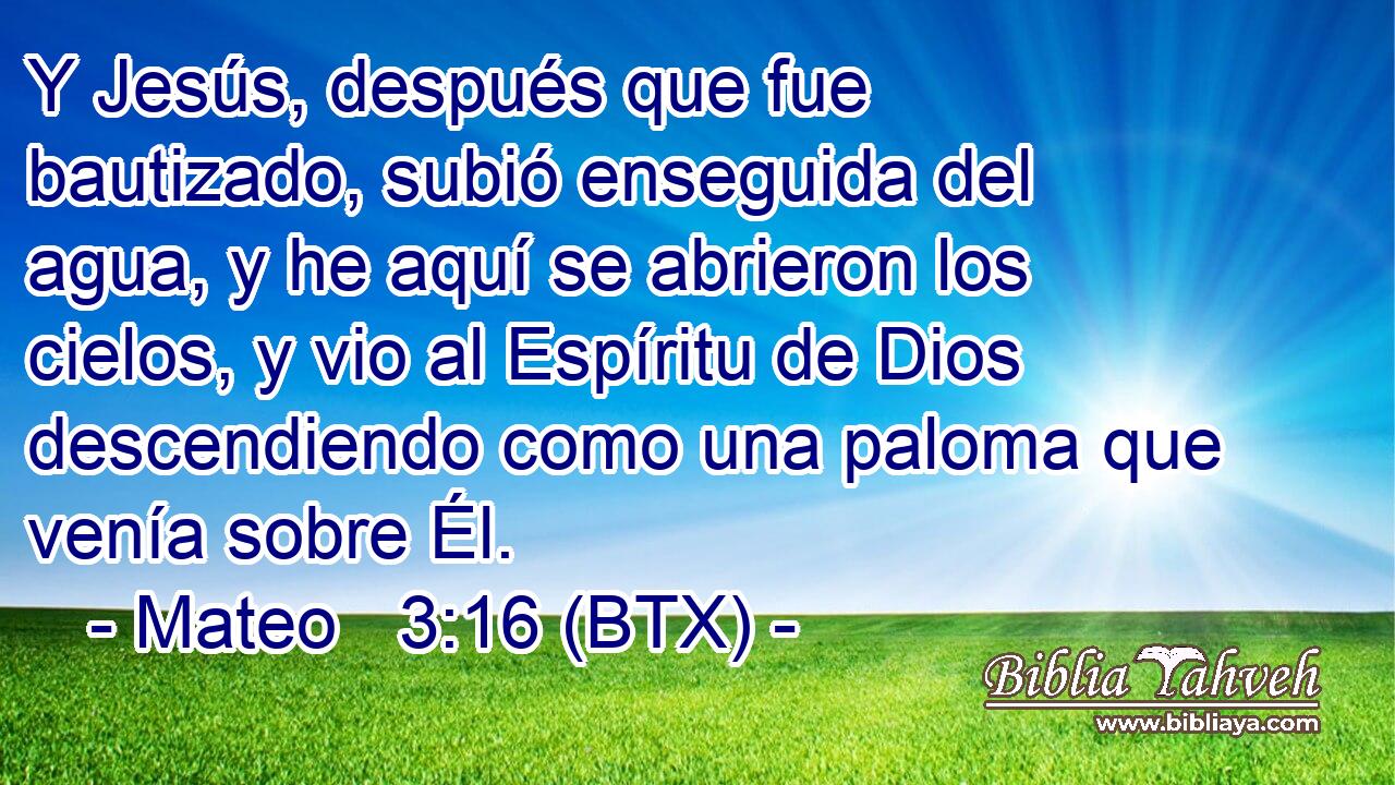 Y Jesús, después que fue bautizado, subió enseguida del agua, y he aquí se abrieron los cielos, y vio al Espíritu de Dios descendiendo como una paloma que venía sobre Él.