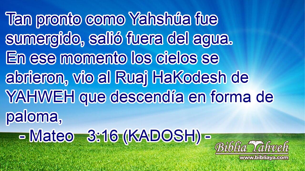  Tan pronto como Yahshúa fue sumergido, salió fuera del agua. En ese momento los cielos se abrieron, vio al Ruaj HaKodesh de YAHWEH que descendía en forma de paloma, 