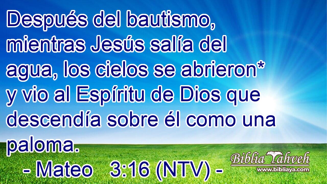 Después del bautismo, mientras Jesús salía del agua, los cielos se abrieron* y vio al Espíritu de Dios que descendía sobre él como una paloma.