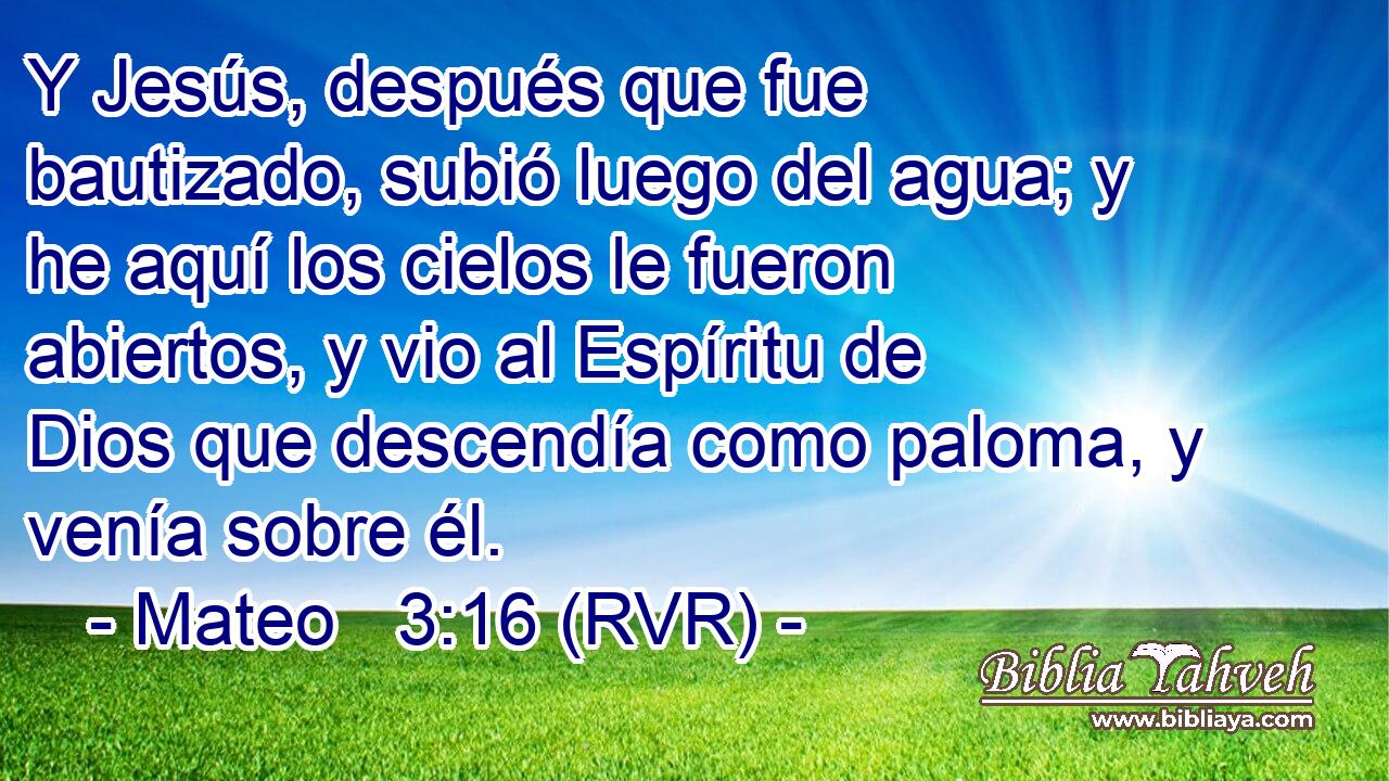 Y Jesús, después que fue bautizado, subió luego del agua; y he aquí los cielos le fueron abiertos, y vio al Espíritu de Dios que descendía como paloma, y venía sobre él.