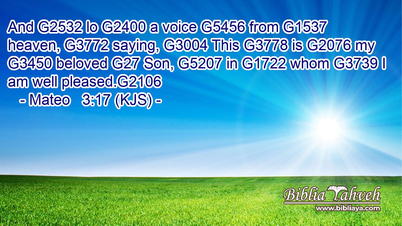 And G2532 lo G2400 a voice G5456 from G1537 heaven, G3772 saying, G3004 This G3778 is G2076 my G3450 beloved G27 Son, G5207 in G1722 whom G3739 I am well pleased.G2106