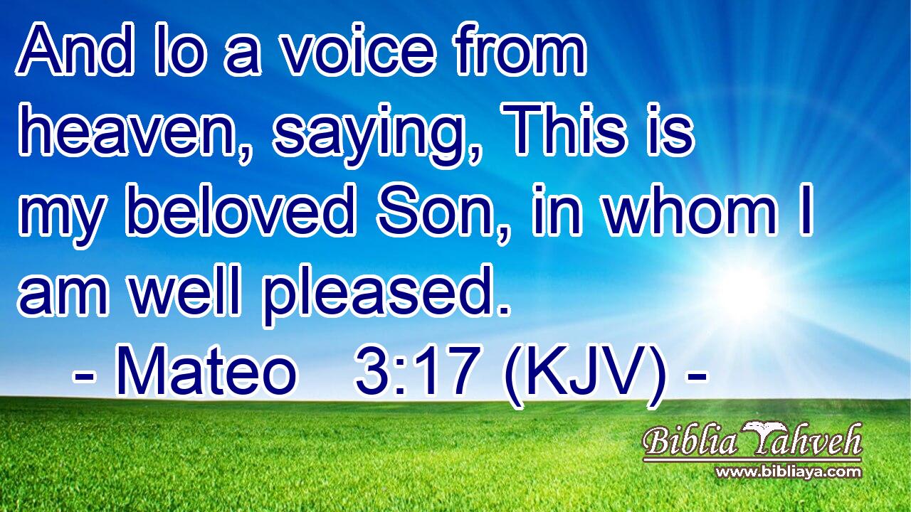 And lo a voice from heaven, saying, This is my beloved Son, in whom I am well pleased.