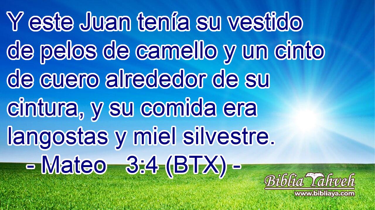 Y este Juan tenía su vestido de pelos de camello y un cinto de cuero alrededor de su cintura, y su comida era langostas y miel silvestre.
