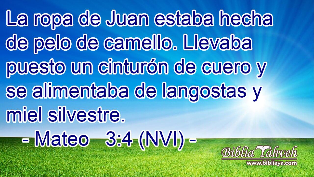  La ropa de Juan estaba hecha de pelo de camello. Llevaba puesto un cinturón de cuero y se alimentaba de langostas y miel silvestre. 