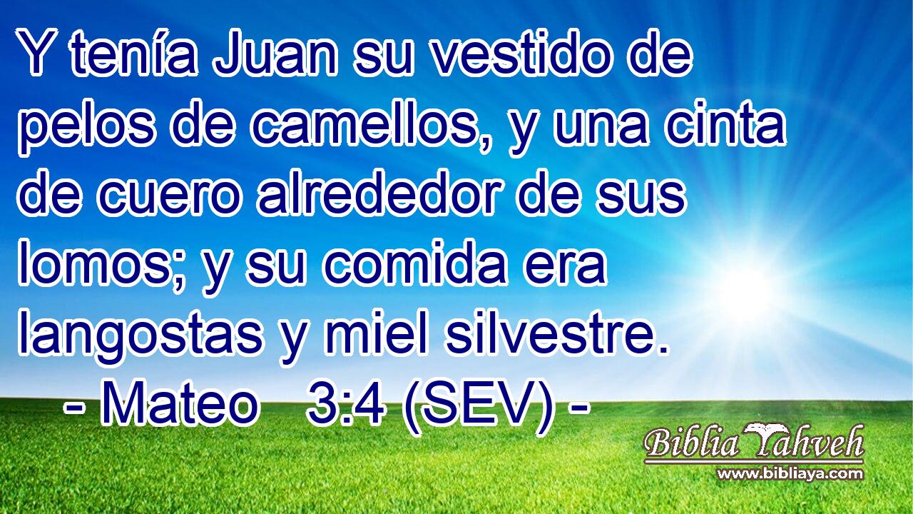 Y tenía Juan su vestido de pelos de camellos, y una cinta de cuero alrededor de sus lomos; y su comida era langostas y miel silvestre.