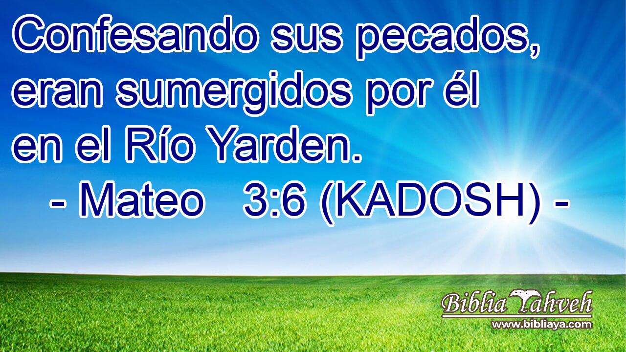  Confesando sus pecados, eran sumergidos por él en el Río Yarden. 