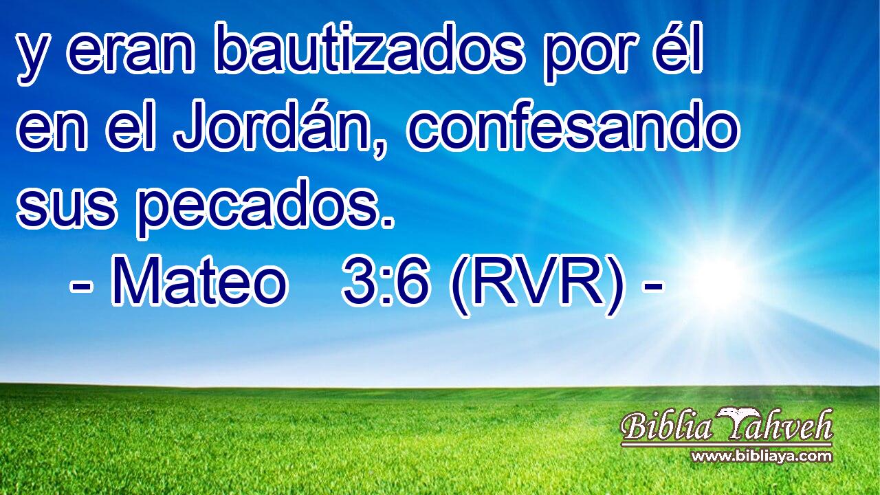 y eran bautizados por él en el Jordán, confesando sus pecados.