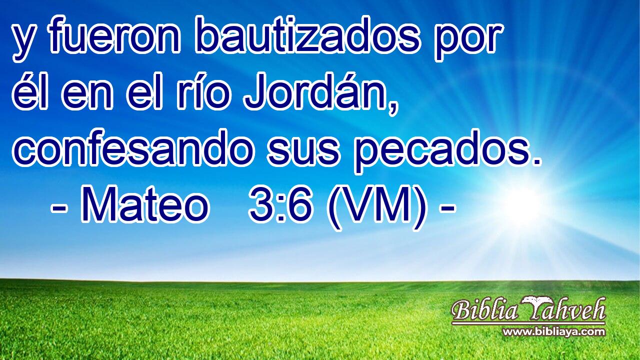  y fueron bautizados por él en el río Jordán, confesando sus pecados. 