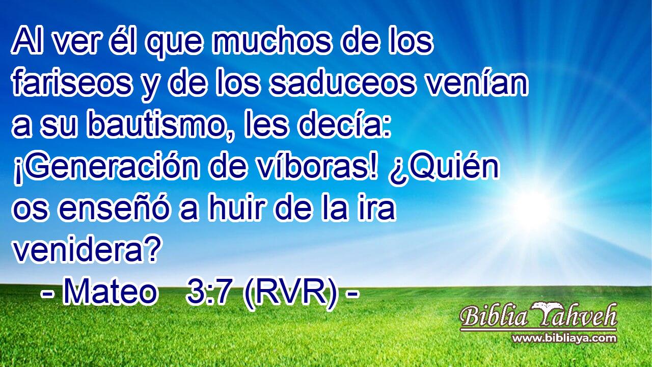 Al ver él que muchos de los fariseos y de los saduceos venían a su bautismo, les decía: ¡Generación de víboras! ¿Quién os enseñó a huir de la ira venidera?