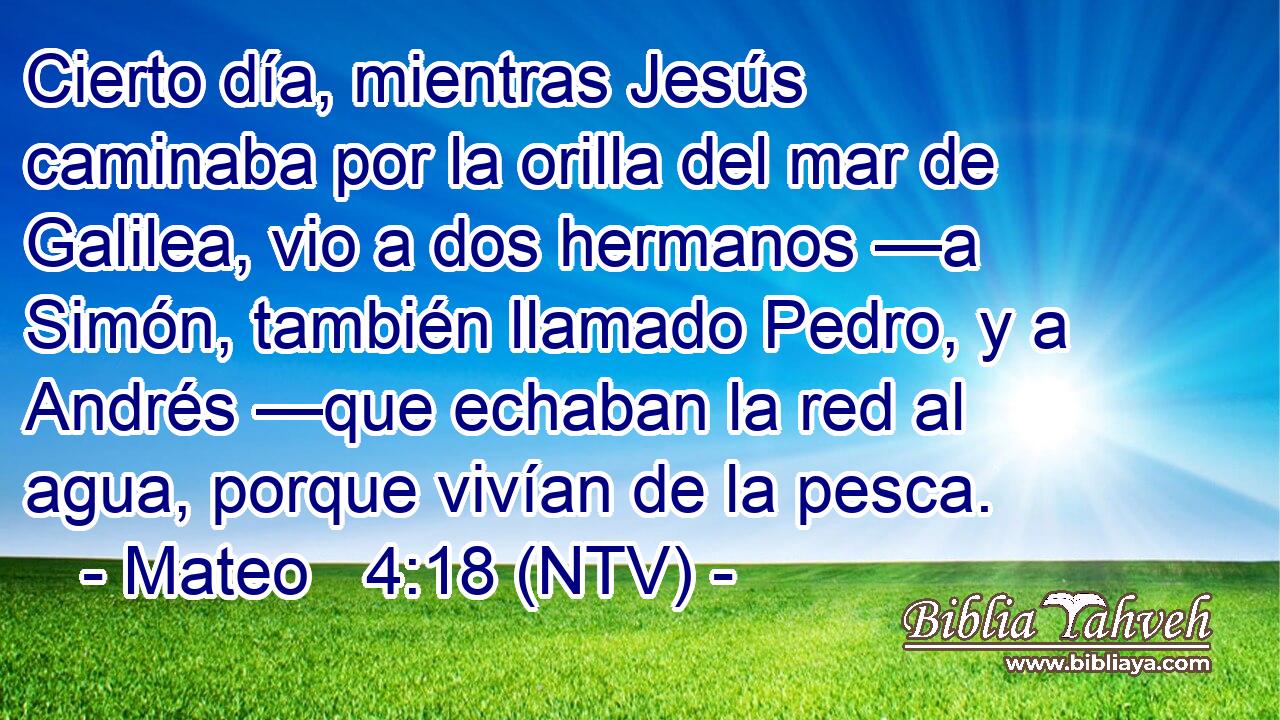 Cierto día, mientras Jesús caminaba por la orilla del mar de Galilea, vio a dos hermanos —a Simón, también llamado Pedro, y a Andrés —que echaban la red al agua, porque vivían de la pesca.