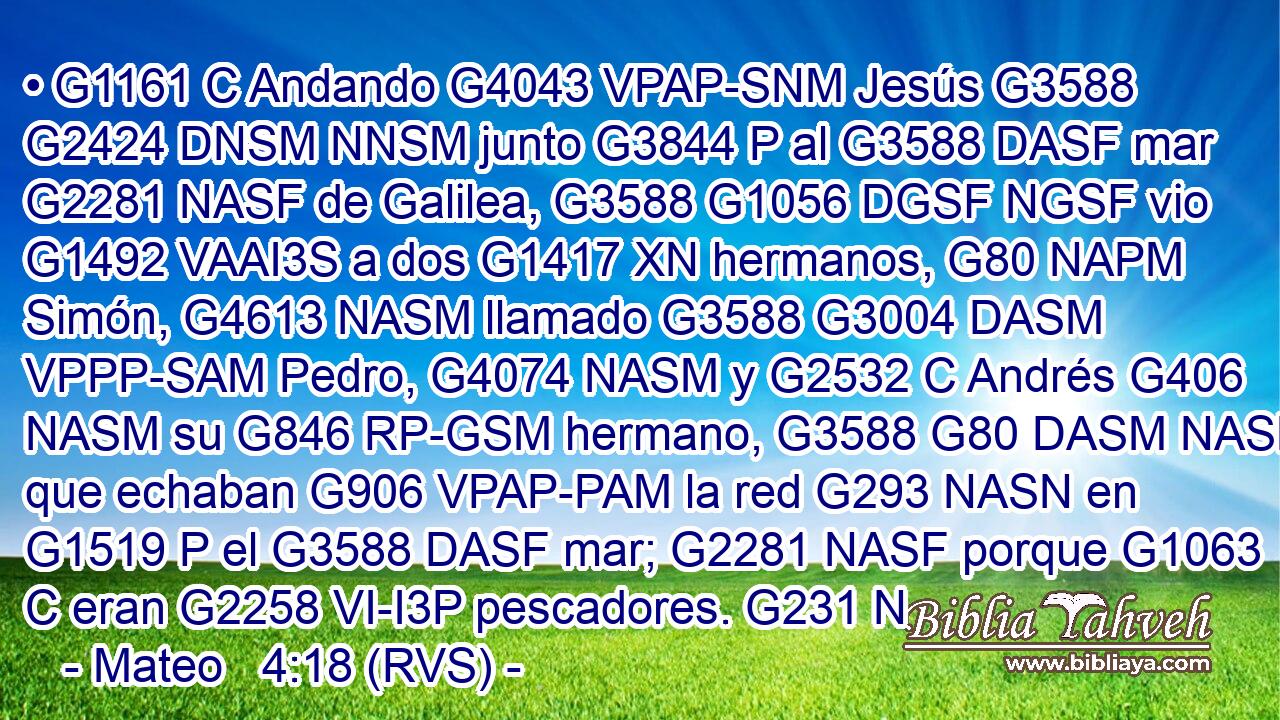 • G1161 C Andando G4043 VPAP-SNM Jesús G3588 G2424 DNSM NNSM junto G3844 P al G3588 DASF mar G2281 NASF de Galilea, G3588 G1056 DGSF NGSF vio G1492 VAAI3S a dos G1417 XN hermanos, G80 NAPM Simón, G4613 NASM llamado G3588 G3004 DASM VPPP-SAM Pedro, G4074 NASM y G2532 C Andrés G406 NASM su G846 RP-GSM hermano, G3588 G80 DASM NASM que echaban G906 VPAP-PAM la red G293 NASN en G1519 P el G3588 DASF mar; G2281 NASF porque G1063 C eran G2258 VI-I3P pescadores. G231 N