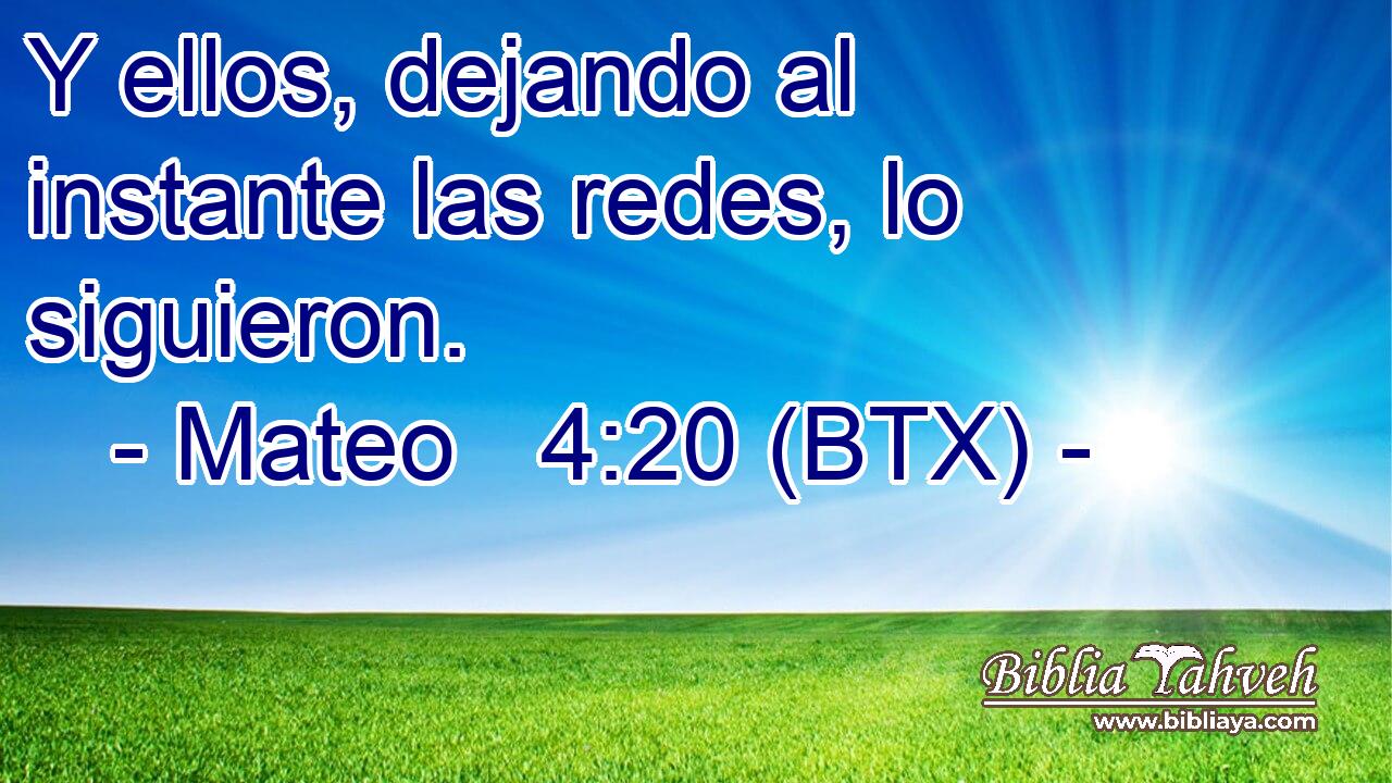 Y ellos, dejando al instante las redes, lo siguieron.