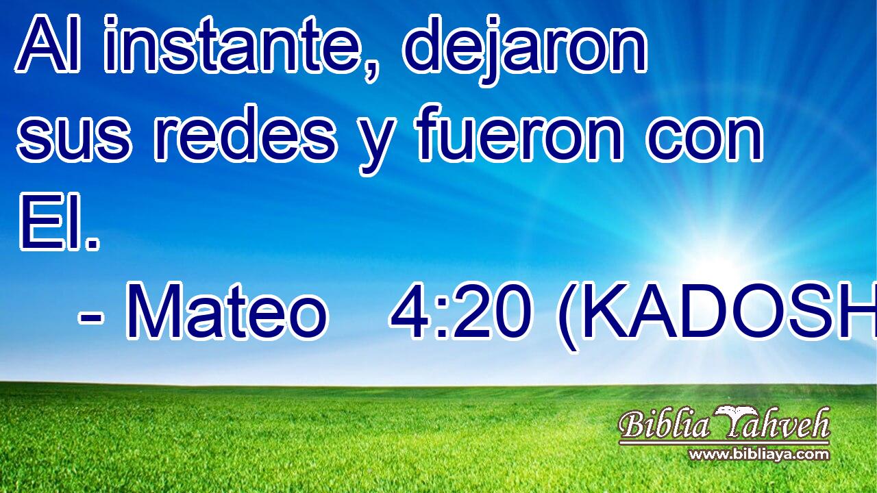  Al instante, dejaron sus redes y fueron con El. 