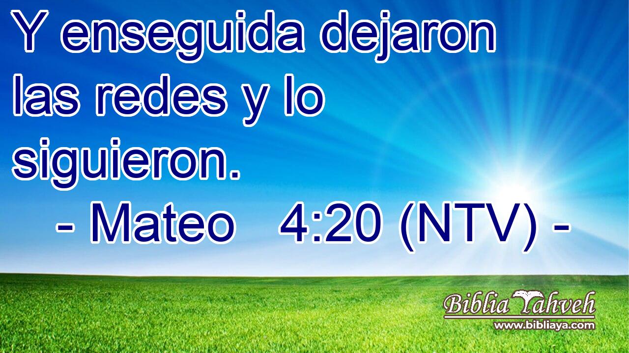 mateo 4 16 ntv