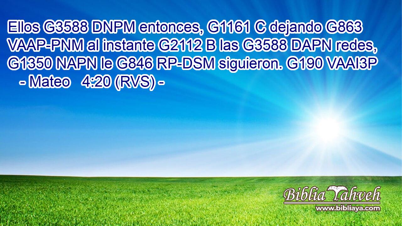Ellos G3588 DNPM entonces, G1161 C dejando G863 VAAP-PNM al instante G2112 B las G3588 DAPN redes, G1350 NAPN le G846 RP-DSM siguieron. G190 VAAI3P 
