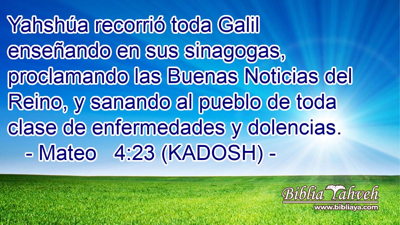  Yahshúa recorrió toda Galil enseñando en sus sinagogas, proclamando las Buenas Noticias del Reino, y sanando al pueblo de toda clase de enfermedades y dolencias. 