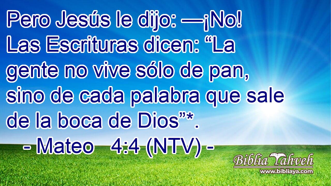 Pero Jesús le dijo: —¡No! Las Escrituras dicen: “La gente no vive sólo de pan, sino de cada palabra que sale de la boca de Dios”*.