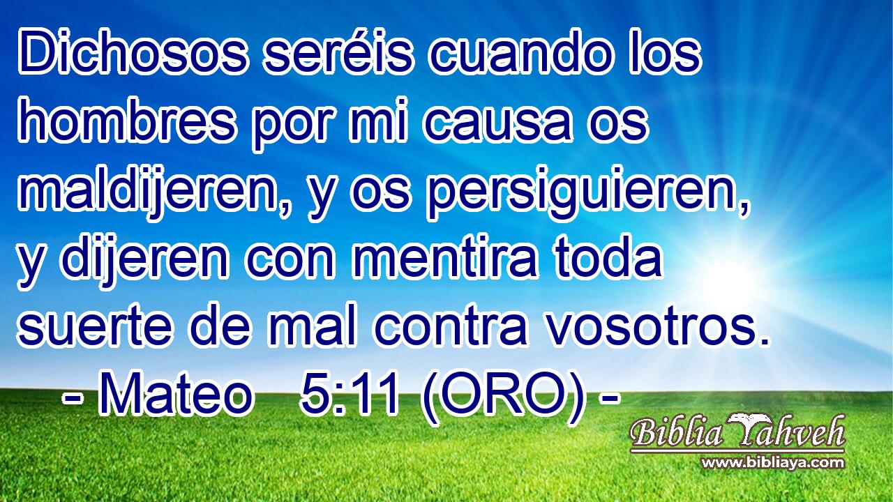  Dichosos seréis cuando los hombres por mi causa os maldijeren, y os persiguieren, y dijeren con mentira toda suerte de mal contra vosotros. 