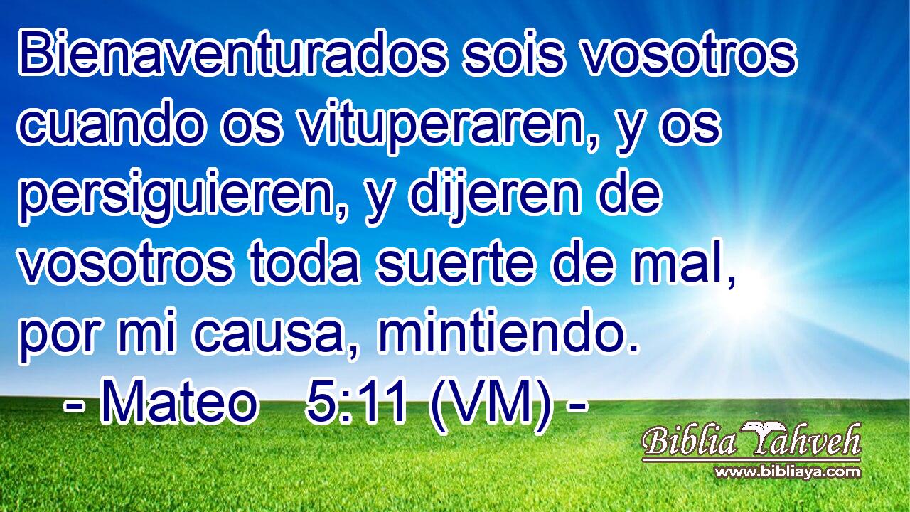 Bienaventurados sois vosotros cuando os vituperaren, y os persiguieren, y dijeren de vosotros toda suerte de mal, por mi causa, mintiendo. 