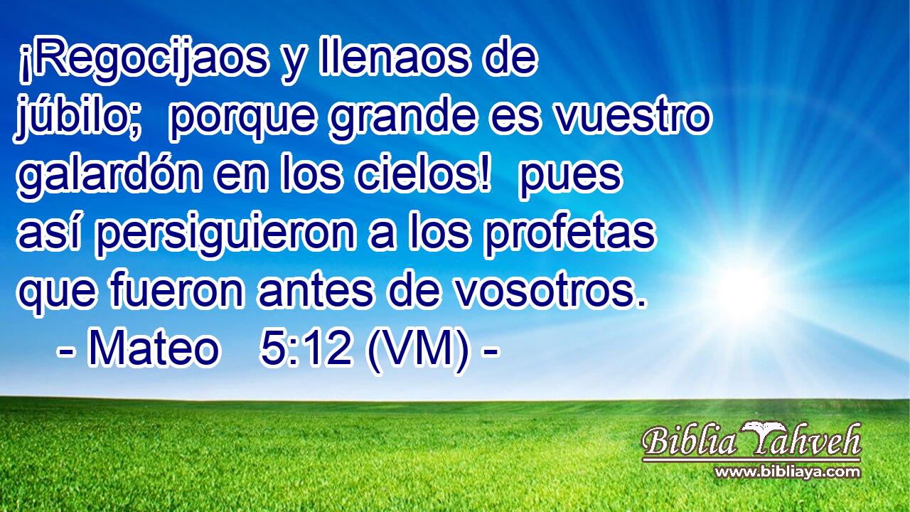  ¡Regocijaos y llenaos de júbilo;  porque grande es vuestro galardón en los cielos!  pues así persiguieron a los profetas que fueron antes de vosotros. 