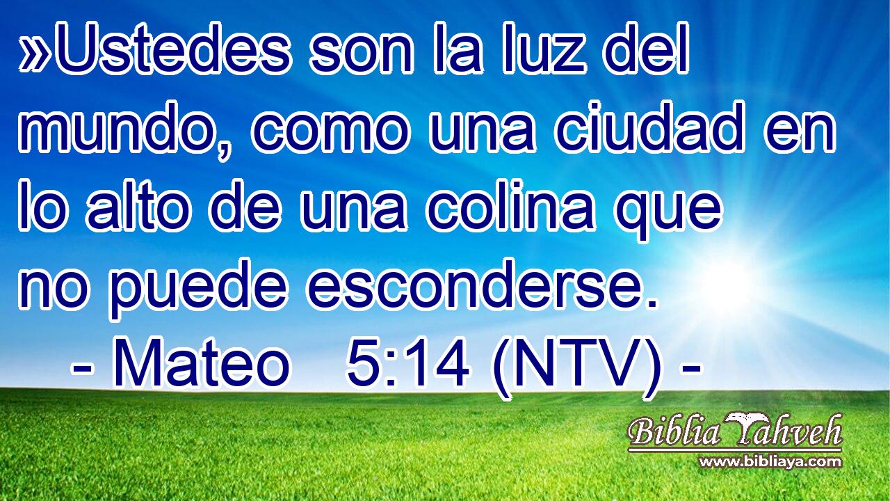 »Ustedes son la luz del mundo, como una ciudad en lo alto de una colina que no puede esconderse.
