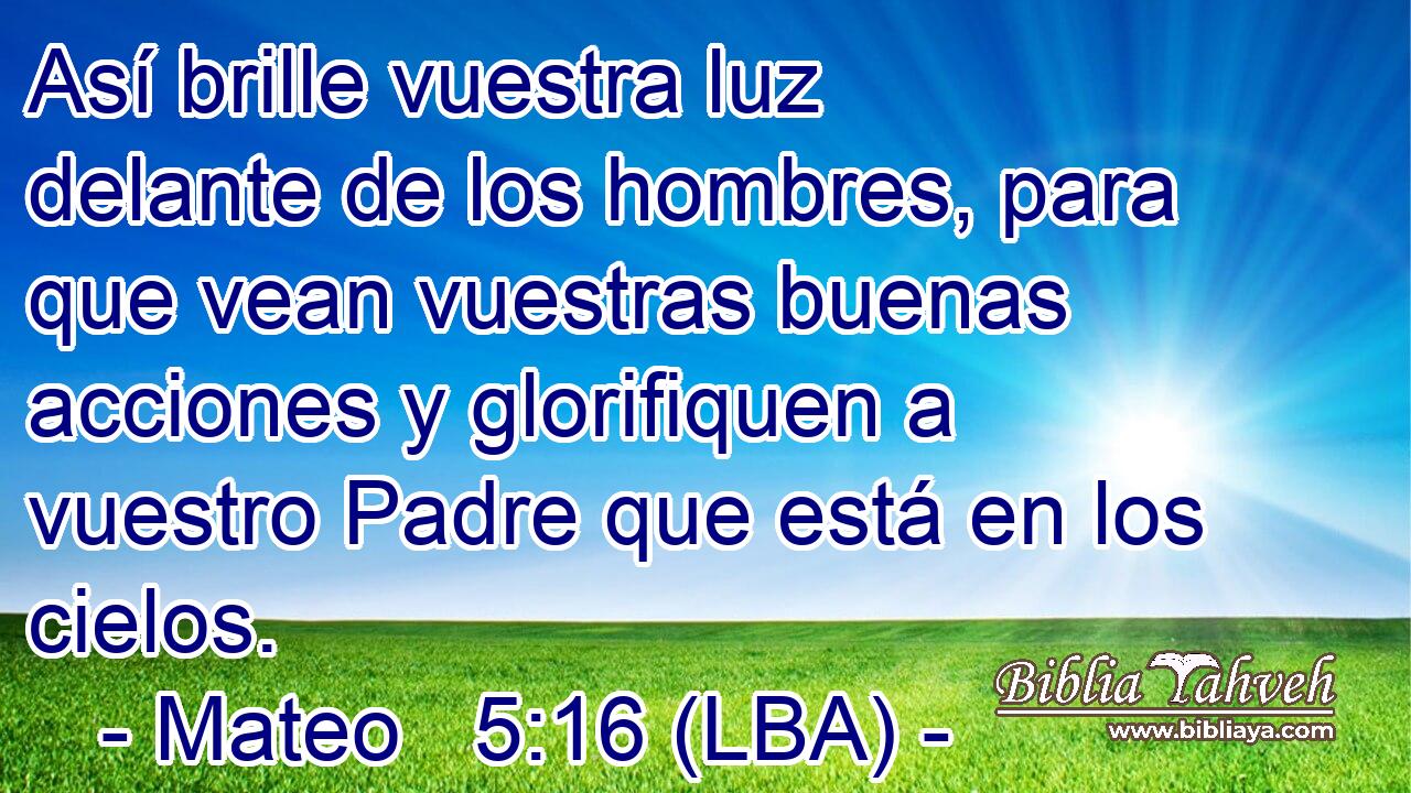Así brille vuestra luz delante de los hombres, para que vean vuestras buenas acciones y glorifiquen a vuestro Padre que está en los cielos.