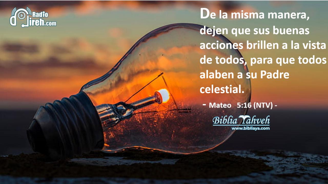 De la misma manera, dejen que sus buenas acciones brillen a la vista de todos, para que todos alaben a su Padre celestial.