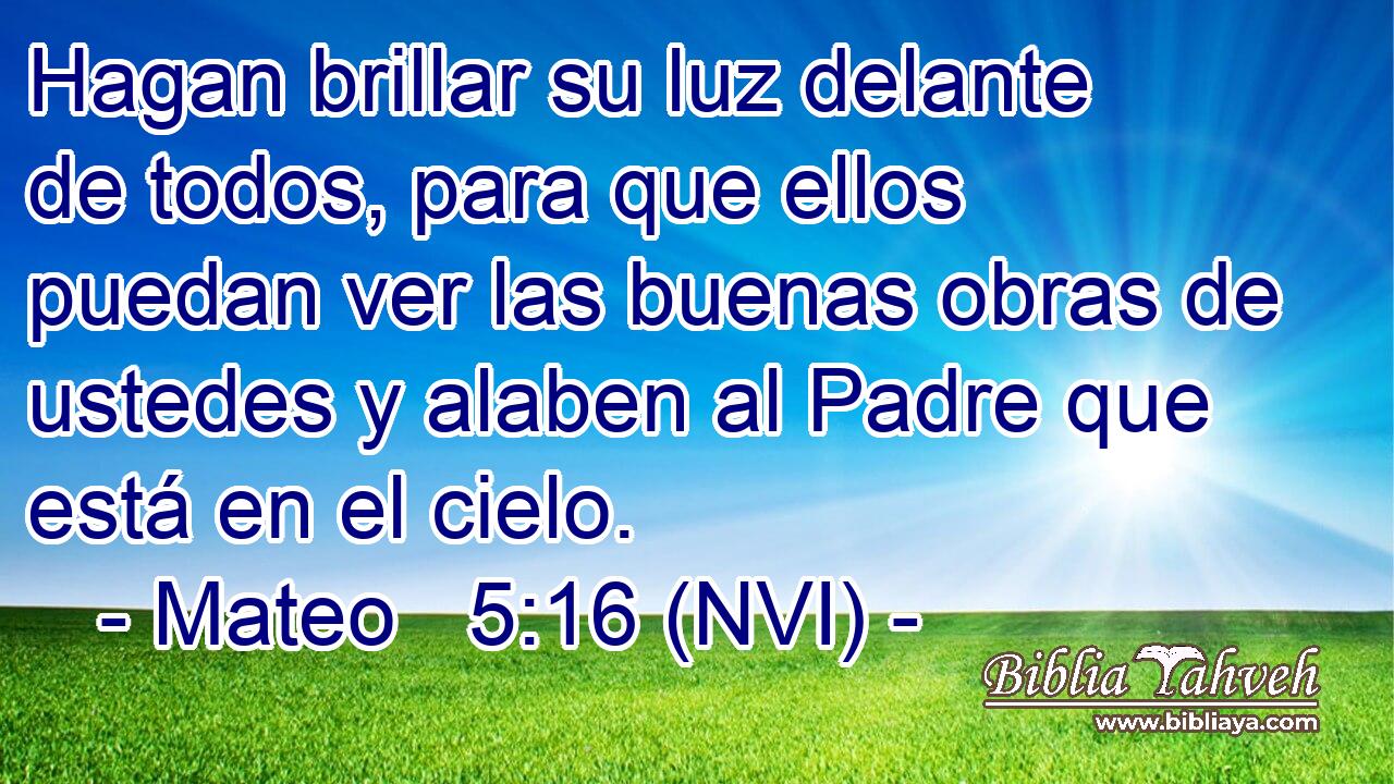  Hagan brillar su luz delante de todos, para que ellos puedan ver las buenas obras de ustedes y alaben al Padre que está en el cielo. 