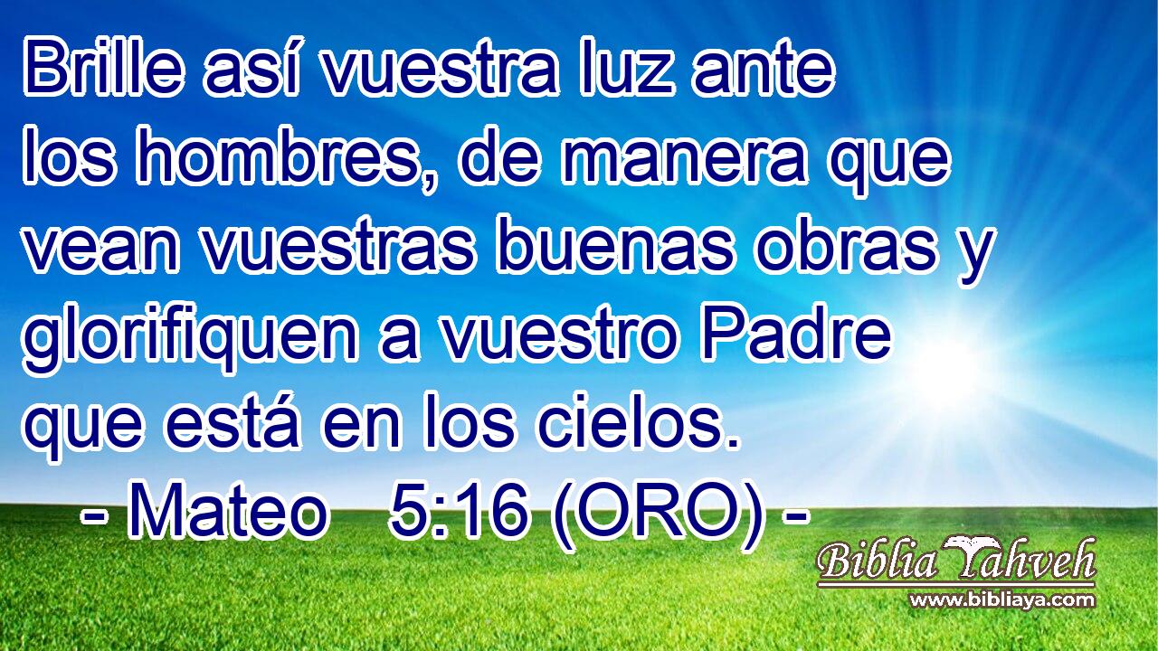  Brille así vuestra luz ante los hombres, de manera que vean vuestras buenas obras y glorifiquen a vuestro Padre que está en los cielos. 