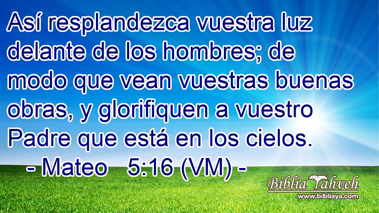  Así resplandezca vuestra luz delante de los hombres; de modo que vean vuestras buenas obras, y glorifiquen a vuestro Padre que está en los cielos. 