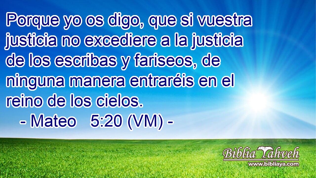  Porque yo os digo, que si vuestra justicia no excediere a la justicia de los escribas y fariseos, de ninguna manera entraréis en el reino de los cielos. 