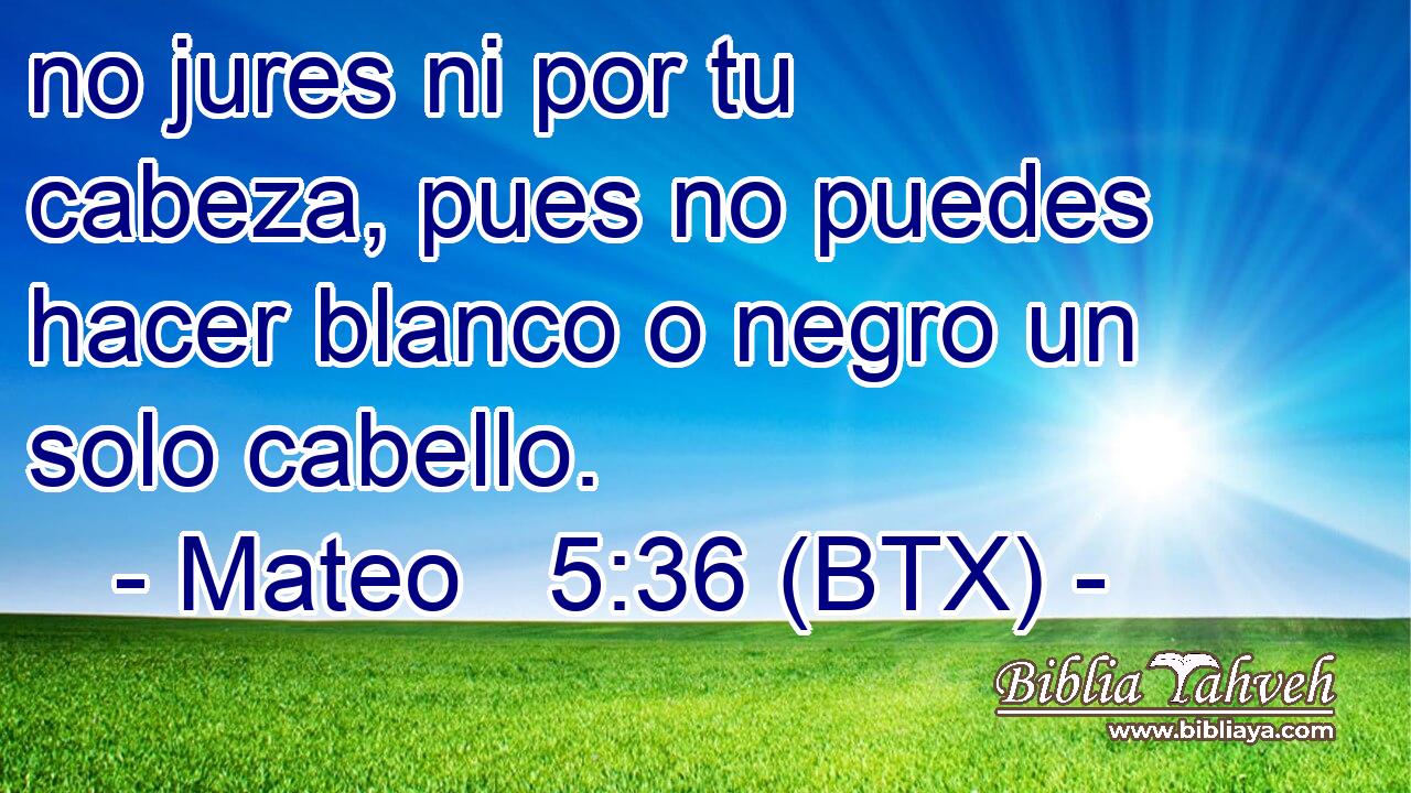 no jures ni por tu cabeza, pues no puedes hacer blanco o negro un solo cabello.