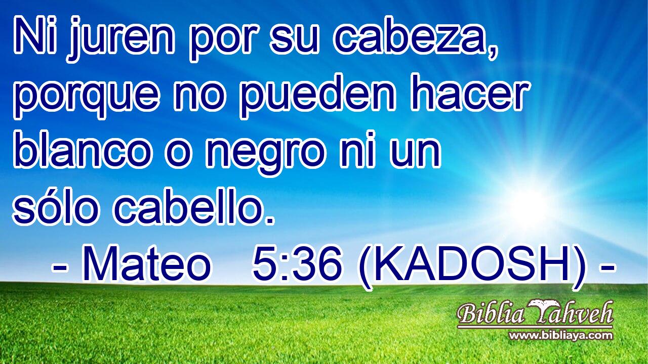  Ni juren por su cabeza, porque no pueden hacer blanco o negro ni un sólo cabello. 