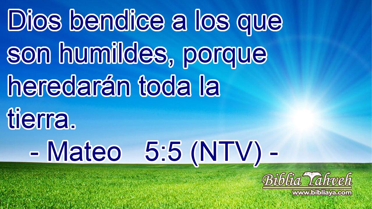 Dios bendice a los que son humildes, porque heredarán toda la tierra.
