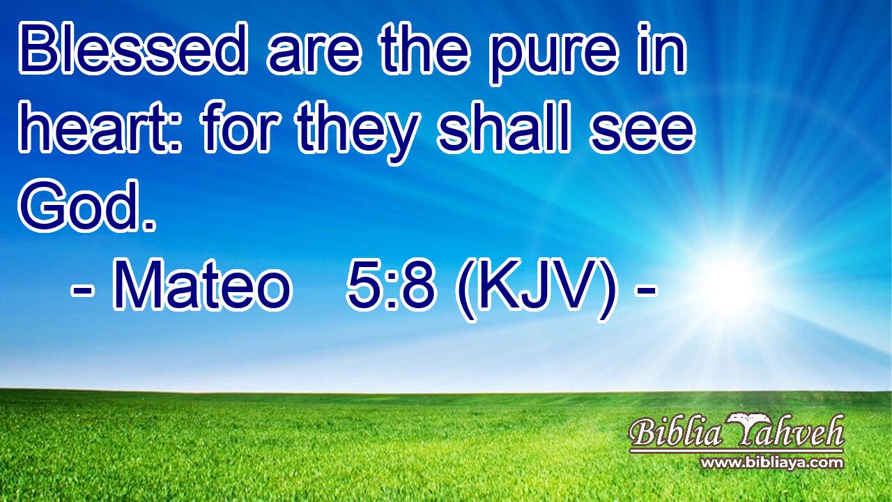 Blessed are the pure in heart: for they shall see God.