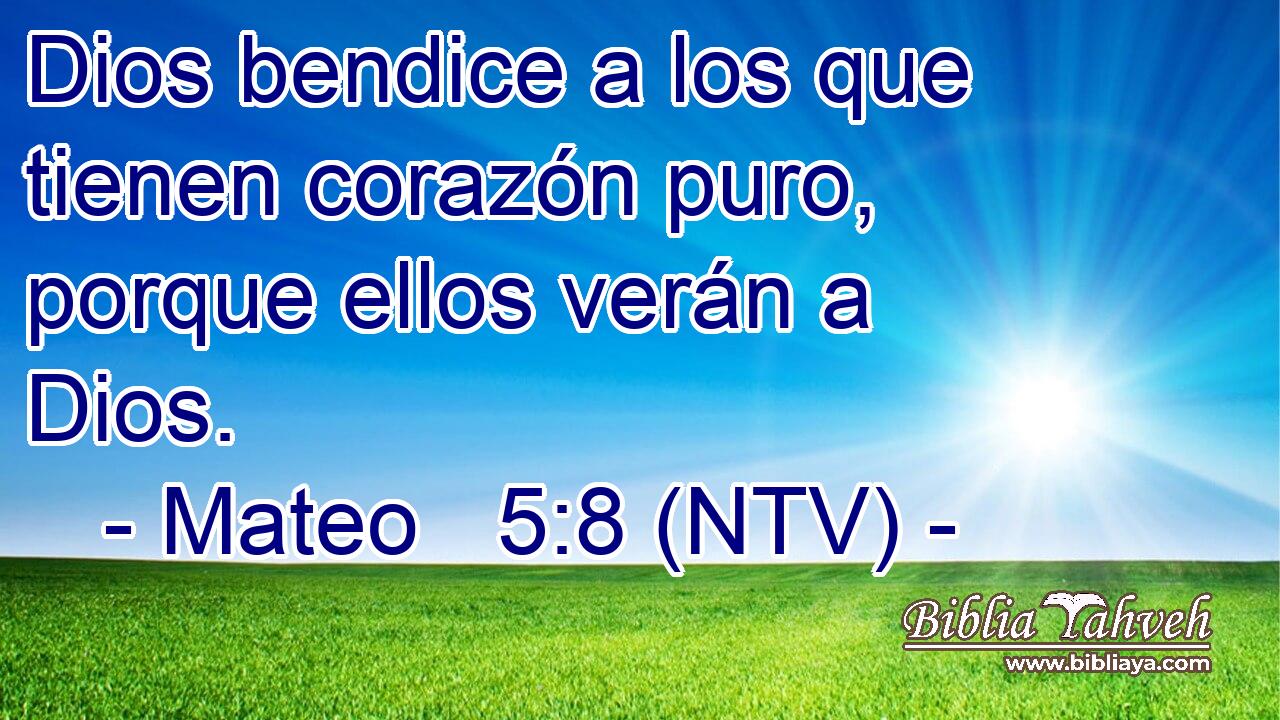 Dios bendice a los que tienen corazón puro, porque ellos verán a Dios.