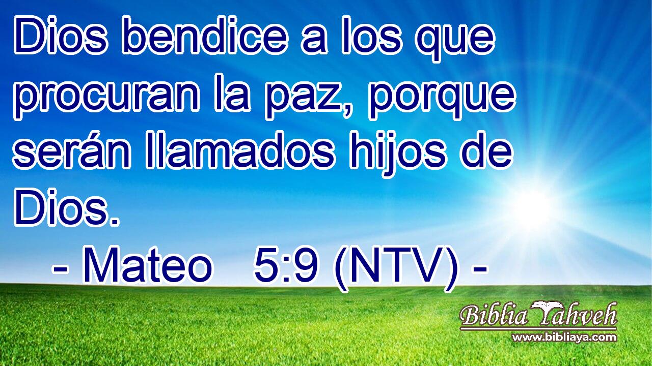 Dios bendice a los que procuran la paz, porque serán llamados hijos de Dios.