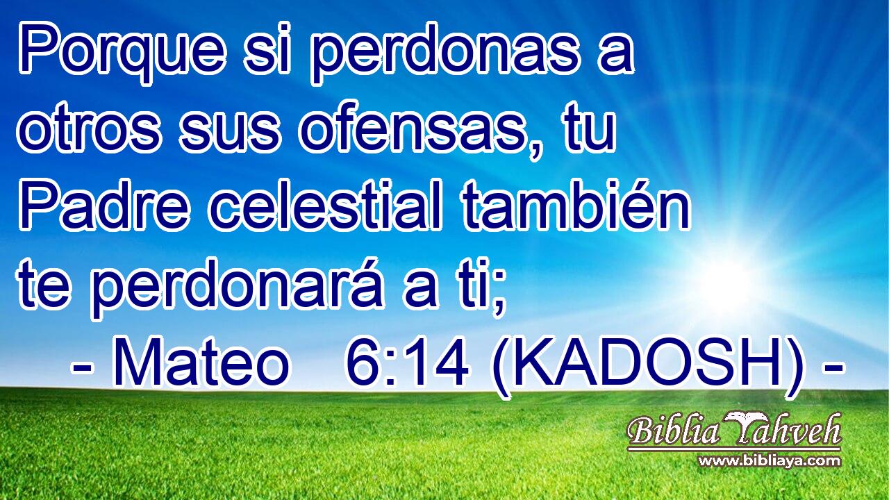  Porque si perdonas a otros sus ofensas, tu Padre celestial también te perdonará a ti; 