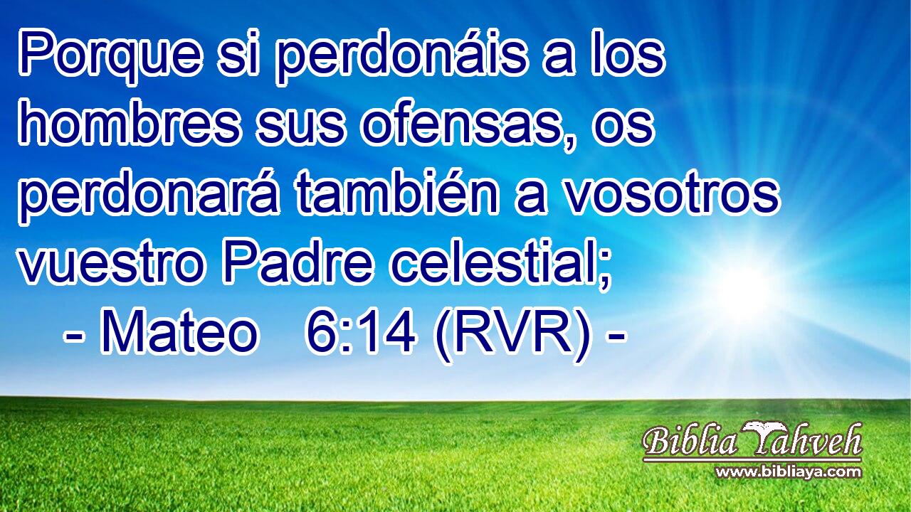 Porque si perdonáis a los hombres sus ofensas, os perdonará también a vosotros vuestro Padre celestial;